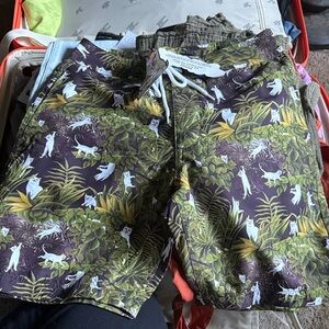 Swim Trunks Rip n Dip Cat Shorts